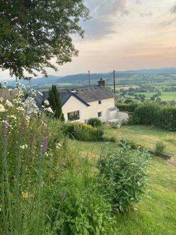 Trinity Cottage Welshpool Exterior photo